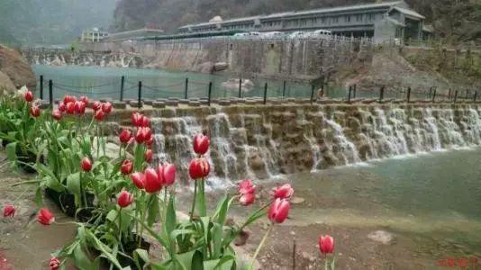 Kimi和双胞胎做蛋糕做得太多了，陈若仪把蛋糕当早餐吃