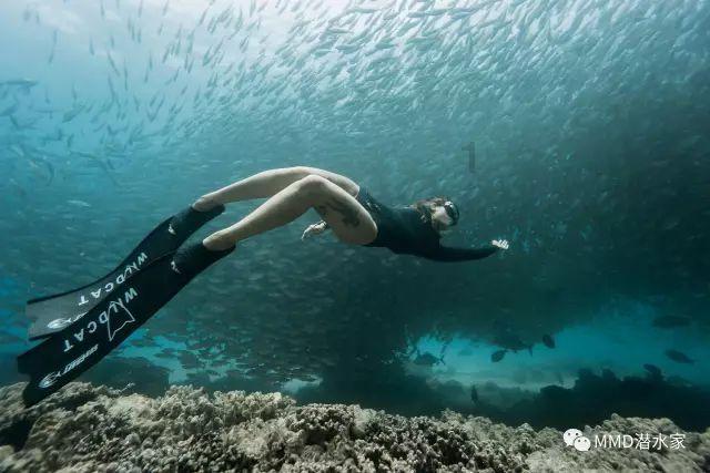 海南：海口新海客运综合枢纽备战春运，多举措应对春运高峰