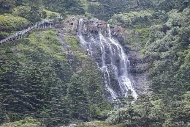 打呀么打飞机