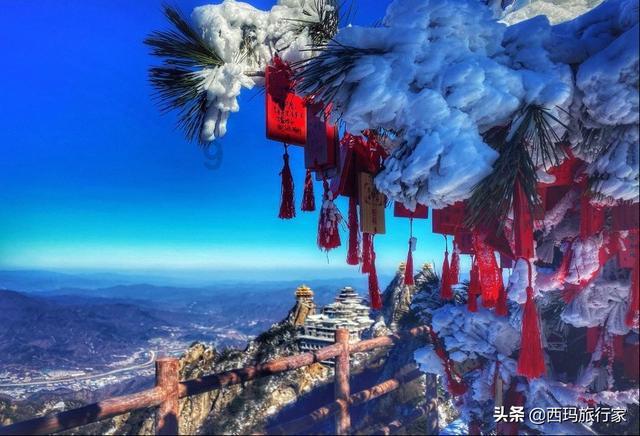 公共服务 你我共享丨老有所养 让晚年生活更舒心